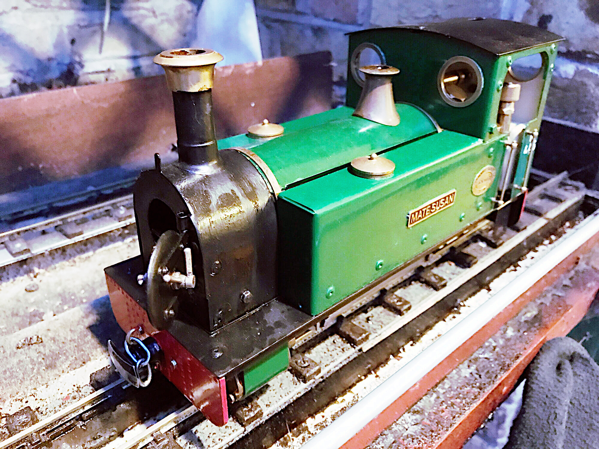 M445 Mate Susan on shed [5 Aug 2022]